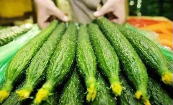 吃瓜群众黄瓜原创视频,揭秘短视频背后的趣味与智慧  第2张