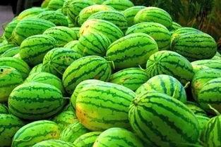 江西九江吃瓜视频 第2张 江西九江吃瓜视频 第2张