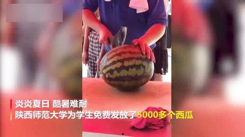 大二大三吃瓜视频,吃瓜视频里的青春百态 第2张 大二大三吃瓜视频,吃瓜视频里的青春百态 第2张