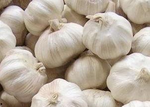 偷吃大蒜吃瓜小视频大全,趣味小视频大盘点  第3张