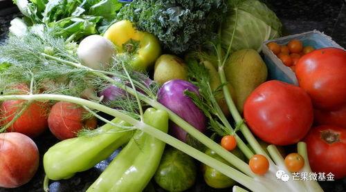 蔬菜棚里吃瓜视频真实吗 第3张 蔬菜棚里吃瓜视频真实吗 第3张