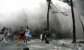 台风来了吃瓜视频