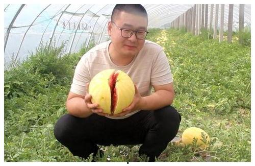 吃黄皮瓜小视频大全集,小视频大全集带你领略美味瞬间 第2张 吃黄皮瓜小视频大全集,小视频大全集带你领略美味瞬间 第2张