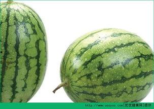 吃瓜过敏的视频,视频揭示惊人真相  第2张