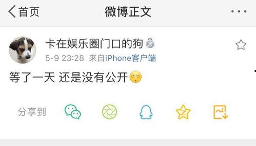 吃瓜爆料犯法吗视频,视频内容引发热议