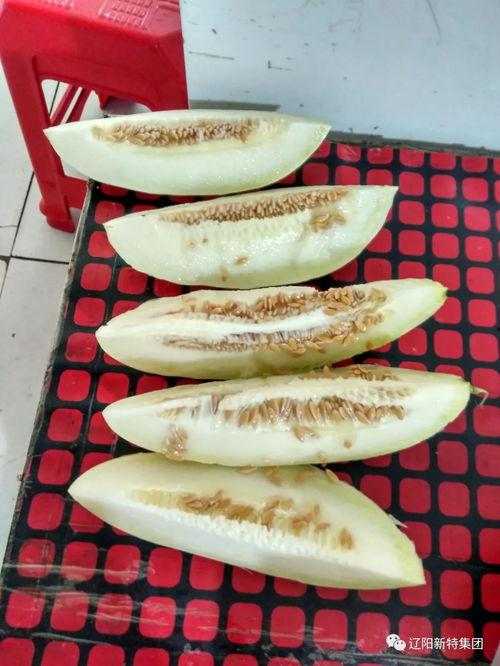 带你吃瓜奇葩西餐视频,带你领略“带你吃瓜奇葩西餐”的独特风味 第2张 带你吃瓜奇葩西餐视频,带你领略“带你吃瓜奇葩西餐”的独特风味 第2张