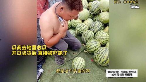 双丰收吃瓜视频,揭秘娱乐圈幕后故事  第3张