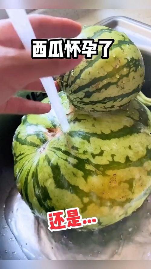 最近最火吃瓜视频,全网热议!最新吃瓜视频揭秘惊人内幕 第2张 最近最火吃瓜视频,全网热议!最新吃瓜视频揭秘惊人内幕 第2张