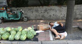 广州黄埔区吃瓜事件视频,广州黄埔区“吃瓜事件”视频引发热议 第3张 广州黄埔区吃瓜事件视频,广州黄埔区“吃瓜事件”视频引发热议 第3张