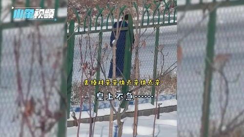 消防队的吃瓜队友视频,一场欢乐的消防日常 第3张 消防队的吃瓜队友视频,一场欢乐的消防日常 第3张