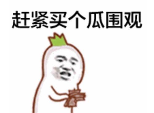 吃瓜群众大胖子视频播放 第2张 吃瓜群众大胖子视频播放 第2张