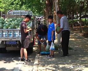 任县吃瓜群众视频曝光  第3张