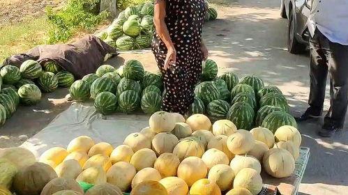 热门的吃瓜视频有哪些,揭秘娱乐圈幕后故事  第3张