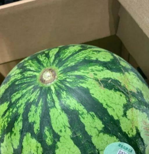 吃瓜中国真假视频大全在线观看,吃瓜中国大全在线观看指南