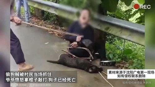 吃瓜被爷爷的棍子砸伤视频,一场意外的家庭悲剧  第3张