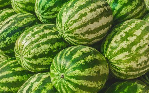 长垣吃瓜原视频在哪,一场视觉盛宴背后的故事