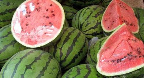 长垣吃瓜原视频在哪,一场视觉盛宴背后的故事 第3张 长垣吃瓜原视频在哪,一场视觉盛宴背后的故事 第3张