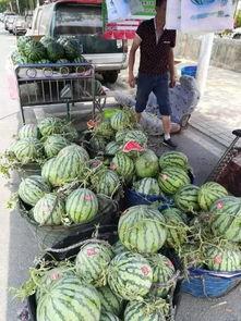 新沂吃瓜王庄事件视频,一场引发热议的网络风波 第3张 新沂吃瓜王庄事件视频,一场引发热议的网络风波 第3张