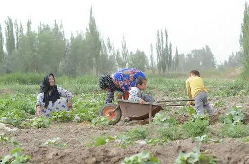 二道河子吃瓜群众视频