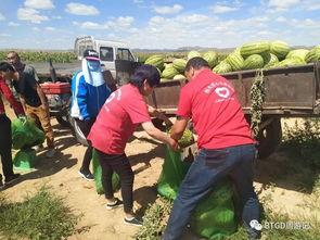 二道河子吃瓜群众视频  第3张
