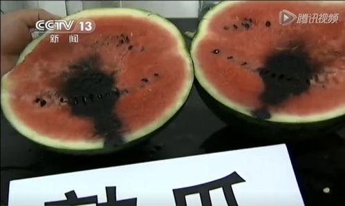 关于吃瓜的创新视频,创意视频带你领略趣味食趣  第2张