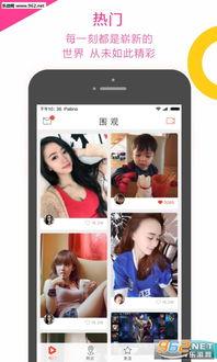 八卦吃瓜采访视频大全集,视频大全集深度解析  第3张