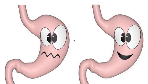吃合瓜好不好消化呀视频,轻松了解合瓜的消化效果