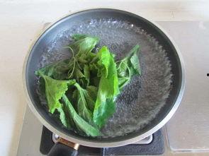 瓜叶子怎样做着吃呢视频,跟着视频学做美味佳肴